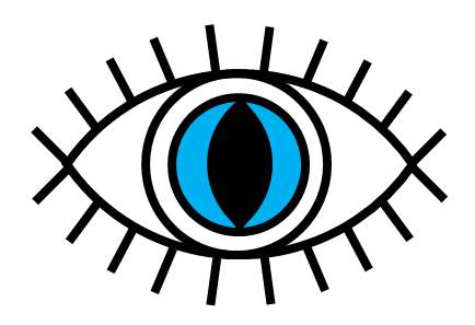 Eye